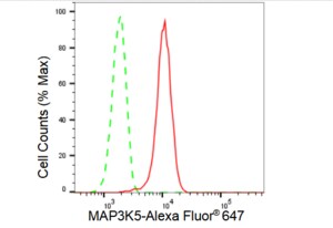Anti MAP3K5 Antibody, clone 23GB2060, Rabbit Monoclonal clone 23GB2060, recombinant rabbit monoclonal, expressed in HEK293 cells
