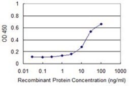 Monoclonal Anti-IL1A antibody produced in mouse clone 4B8, purified immunoglobulin, buffered aqueous solution