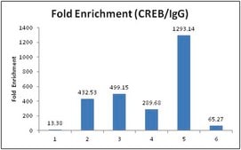 PureEpi Chromatin Preparation and Optimization Kit The PureEpi Chromatin Preparation &amp; Optimization kit provides a complete set of reagents allowing the preparation of multiple chromatin samples from starting materials such as cultured cells or tissues.
