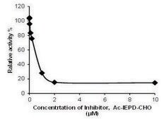 Granzyme B Inhibitor Screening Kit Sufficient for 100 Fluorometric tests