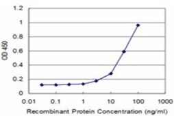 Monoclonal Anti-RET antibody produced in mouse clone 1A5, purified immunoglobulin, buffered aqueous solution