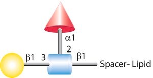 FSL-LEa(tri)