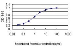 Monoclonal Anti-ROBO1 antibody produced in mouse clone 2G6, purified immunoglobulin, buffered aqueous solution