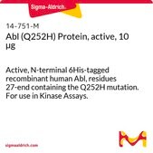 Abl (Q252H) Protein, active, 10 µg Active, N-terminal 6His-tagged recombinant human Abl, residues 27-end containing the Q252H mutation. For use in Kinase Assays.