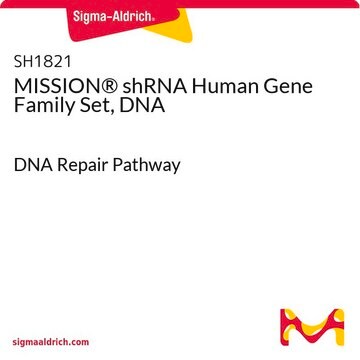 MISSION&#174; shRNA人基因家族集，DNA DNA Repair Pathway