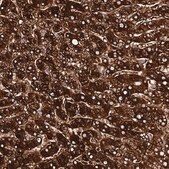 Anti-AOX1 antibody produced in rabbit Prestige Antibodies&#174; Powered by Atlas Antibodies, affinity isolated antibody, buffered aqueous glycerol solution
