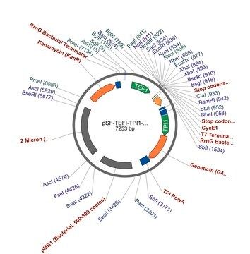 PSF-TEFI-TPI1-NEO/G418 - G418 YEAST SELECTION PLASMID plasmid vector for molecular cloning