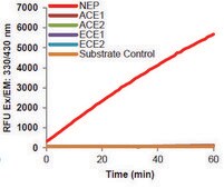 Neprilysin Activity Assay Kit (Fluorometric) sufficient for 100&#160;fluorometric&nbsp;tests