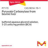 Pyruvate Carboxylase from bovine liver buffered aqueous glycerol solution, 5-25 units/mg protein (BCA)