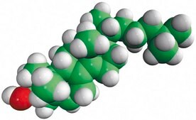 8(14)-dehydrocholesterol Avanti Research™ - A Croda Brand