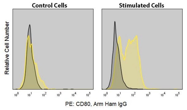 Anti-Mouse CD80 (16-10A1) ColorWheel&#174; Dye-Ready mAb for use with ColorWheel&#174; Dyes (Required, sold separately)