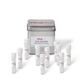 TransIT®-2020 A high performance, animal-free, broad spectrum DNA transfection reagent