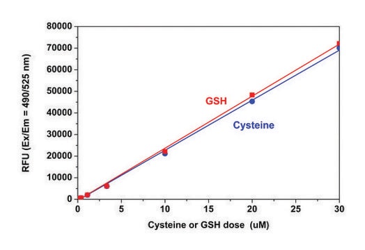 Fluorometric Thiol Assay Kit sufficient for 200 fluorometric&nbsp;tests