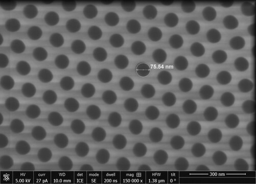 SmartPor, alumina membrane thickness 50 μm, pore diameter 75 nm, pore size  125 nm (interpore distance), size 10 mm × 10 mm, pkg of 10 pieces