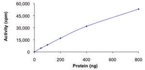DCAMKL1, active, GST tagged human PRECISIO® Kinase, recombinant, expressed in baculovirus infected Sf9 cells, ≥70% (SDS-PAGE), buffered aqueous glycerol solution