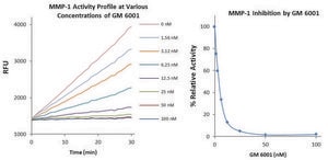 MMP-1抑制剂筛选试剂盒 Sufficient for 100 Fluorometric tests
