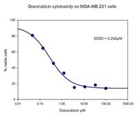 Doxorubicin Ready-Made 2mg/ml, Suitable for cell culture