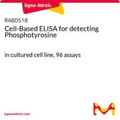 Cell-Based ELISA for detecting Phosphotyrosine in cultured cell line, 96 assays