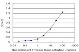 Monoclonal Anti-PNMA2 antibody produced in mouse clone 2D4, purified immunoglobulin, buffered aqueous solution