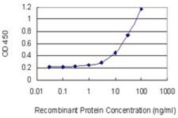 Monoclonal Anti-TXK antibody produced in mouse clone 2D8, purified immunoglobulin, buffered aqueous solution