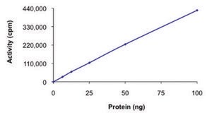 PRKX, active, GST tagged human PRECISIO&#174; Kinase, recombinant, expressed in baculovirus infected Sf9 cells, &#8805;70% (SDS-PAGE), buffered aqueous glycerol solution