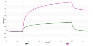 Anti-DLX2 Antibody, clone 1C4 ZooMAb&#174; Rabbit Monoclonal recombinant, expressed in HEK 293 cells