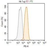 Anti-SPARC Antibody, clone 5N19 ZooMAb&#174; Rabbit Monoclonal recombinant, expressed in HEK 293 cells