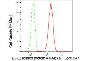 Anti BCL2 related protein A1 Antibody, clone 23GB4820, Rabbit Monoclonal clone 23GB4820, recombinant rabbit monoclonal, expressed in HEK293 cells
