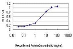 Monoclonal Anti-BCL2L14 antibody produced in mouse clone 1F2, purified immunoglobulin, buffered aqueous solution