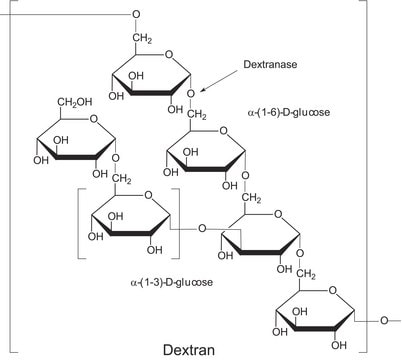 Dextranase from Penicillium sp. lyophilized powder, 10-25&#160;units/mg solid