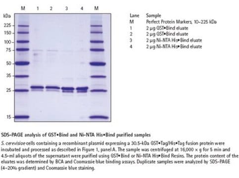 YeastBuster Protein Extraction Reagent Efficient extraction of protein from yeast without mechanical disruption and enzymatic lysis