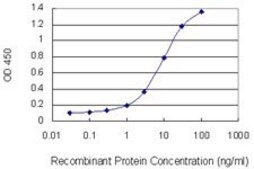 Monoclonal Anti-KRT10 antibody produced in mouse clone 1H6, purified immunoglobulin, buffered aqueous solution