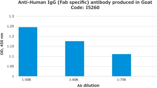 Anti-Human IgG (Fab specific) antibody produced in goat affinity isolated antibody, buffered aqueous solution