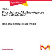 Phosphatase, Alkaline−Agarose from calf intestine ammonium sulfate suspension