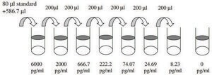 人类 BMP-7 ELISA 试剂盒 for serum, plasma, cell culture supernatant and urine