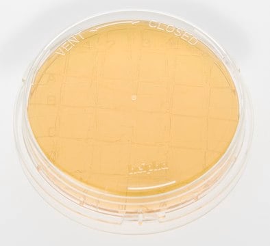 Tryptic Soy Agar with Lecithin and Tween&#174;, ICR+ Contact plate, irradiated, triple packed, for environmental monitoring (Isolator and Clean room)