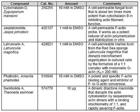 Actin Polymerization Interfering Agents Set - Calbiochem This set contains five chemical agents that are useful for actin polymerization induction, inhibition, and stabilization studies.
