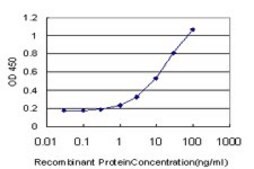 ANTI-GUCY2C antibody produced in mouse clone 1E1, purified immunoglobulin, buffered aqueous solution