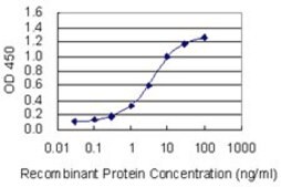 Monoclonal Anti-OTUD6B antibody produced in mouse clone 3H4, purified immunoglobulin