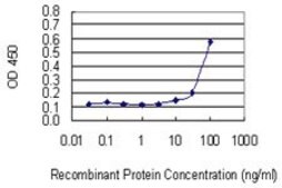 Monoclonal Anti-VPS16, (C-terminal) antibody produced in mouse clone 2F10, purified immunoglobulin, buffered aqueous solution