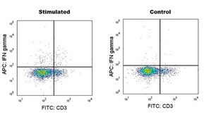 Anti-Mouse IFN-γ (XMG1.2) ColorWheel® Dye-Ready mAb for use with ColorWheel® Dyes (Required, (Sold Separately))