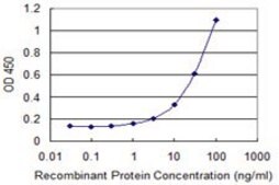 Monoclonal Anti-ZNF232 antibody produced in mouse clone 1F8, purified immunoglobulin, buffered aqueous solution