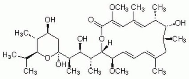 巴弗洛霉素A1，灰色链霉菌 Bafilomycin A1, CAS 88899-55-2, acts as a highly potent and specific inhibitor of vacuolar-type H+-ATPase (Ki = 500 pM). Blocks the fusion of autophagosome with lysosome.