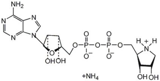 ADP-HPD, Dihydrate, Ammonium Salt ADP-HPD, Dihydrate is an amino analog of ADP-ribose that acts as a highly potent, noncompetitive, and specific inhibitor of poly(ADP-ribose) glycohydrolase (PARG; IC&#8325;&#8320; = 120 nM).