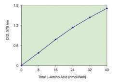 L-Amino Acid Quantitation Kit sufficient for 100&#160;colorimetric&nbsp;or&nbsp;fluorometric&nbsp;tests