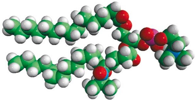 16:0-5 Doxyl PC Avanti Polar Lipids 810601C