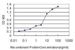 ANTI-PRKCD antibody produced in mouse clone 8H6, purified immunoglobulin, buffered aqueous solution