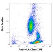 Monoclonal Anti-HLA Class I-PE antibody produced in mouse clone MEM-123, purified immunoglobulin, buffered aqueous solution