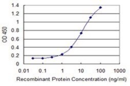 Monoclonal Anti-PAGE4 antibody produced in mouse clone 7C3, purified immunoglobulin, buffered aqueous solution