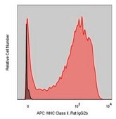 Anti-Mouse MHC II (M5/114.15.2) ColorWheel® Dye-Ready mAb for use with ColorWheel® Dyes (Required, (Sold Separately))